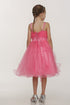 Little Girls Coral Stone Encrusted Pleated Tulle Party Dress 2-6 - SophiasStyle.com
